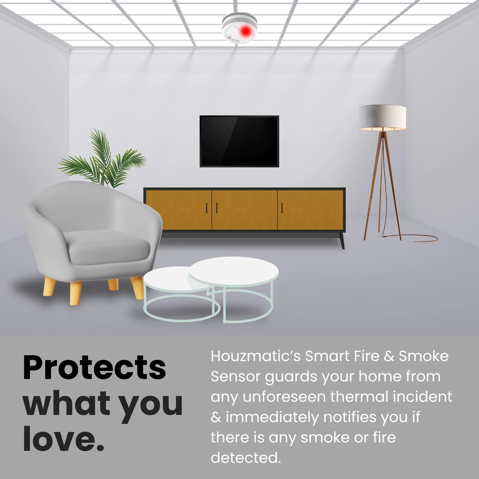 Fire Sensor (2)